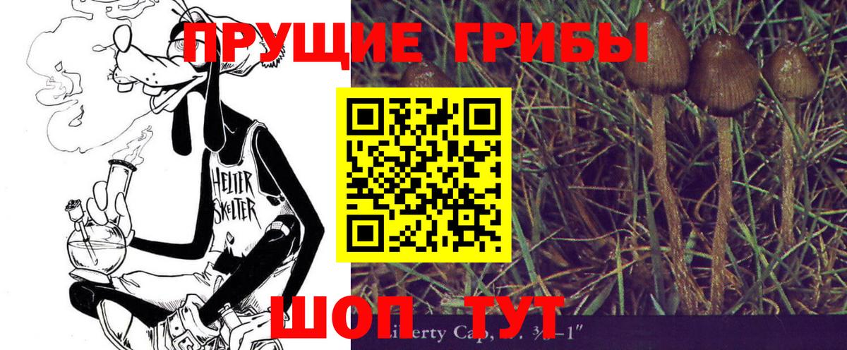 Галлюциногенные грибы Psilocybine cubensis  Вход с VPN  Крымск 